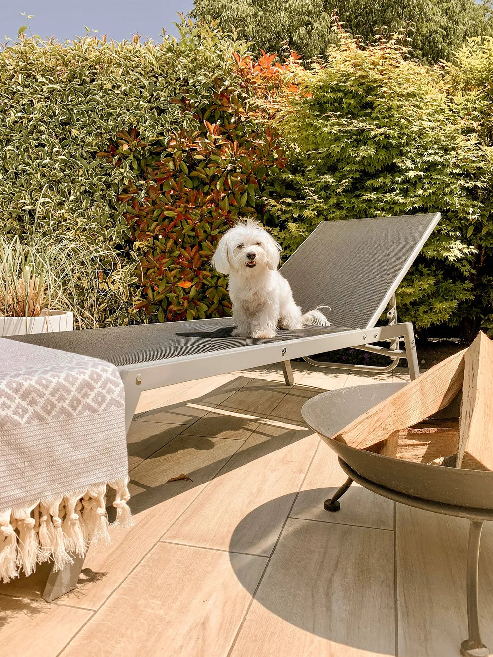 Garden Sun Lounger Black Noli