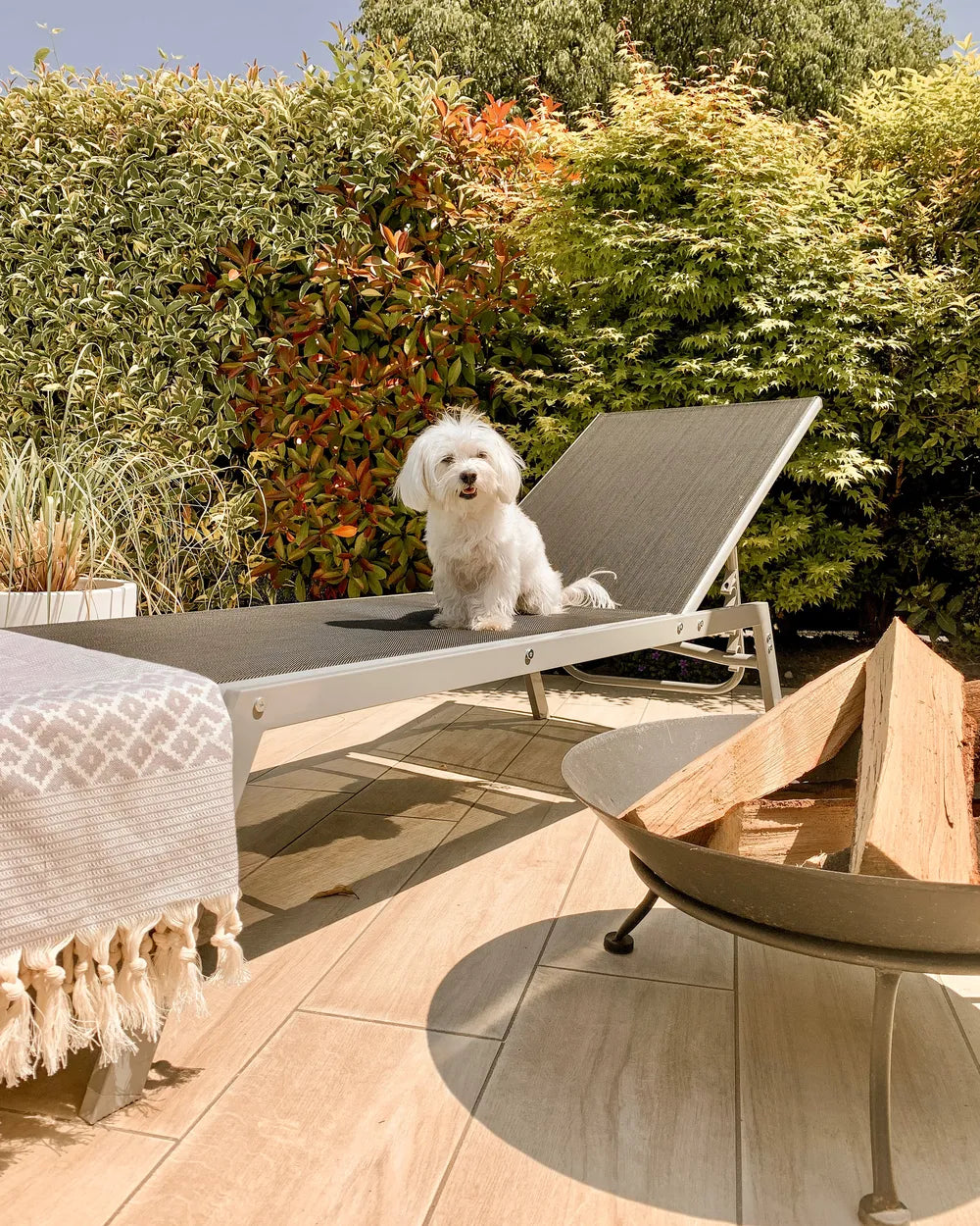 Steel Garden Sun Lounger Grey Noli